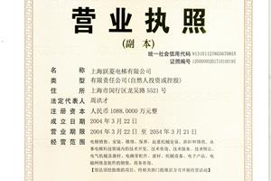 三合一营业执照