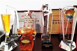 部分奖杯荣誉